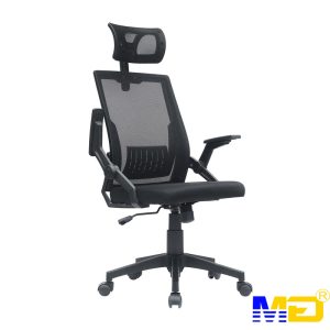 Ghế công thái học ergonomic E-Dra EEC218